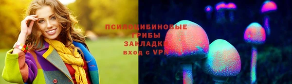 mix Бородино