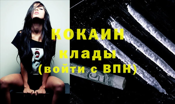 дмт Богородицк