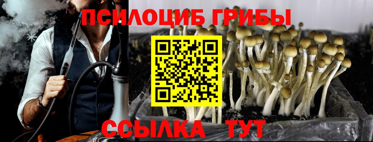 Псилоцибиновые грибы мухоморы Волжск